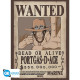 PORTGAS D ACE ONE PIECE WANTED AFFICHE 52 x 38