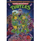 TMNT SATURDAY MORNING ADVENTURES TP VOL 1