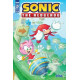 SONIC THE HEDGEHOG 62 CVR A BULMER