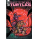 TMNT ONGOING 135 CVR A FERO PE