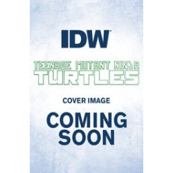 TMNT VS STREET FIGHTER 3 CVR B ARTIST TBD