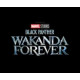 MARVEL STUDIOS BLACK PANTHER WAKANDA FOREVER ART MOVIE TP 