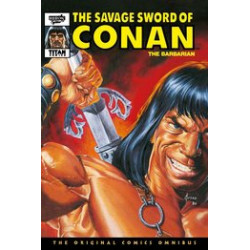 SAVAGE SWORD CONAN ORIGINAL OMNI DIRECT MARKET HC VOL 9