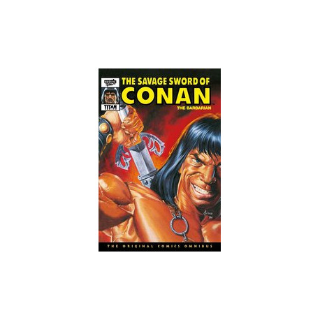 SAVAGE SWORD CONAN ORIGINAL OMNI DIRECT MARKET HC VOL 9