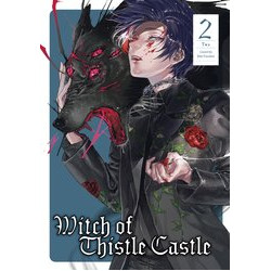 WITCH OF THISTLE CASTLE GN VOL 2