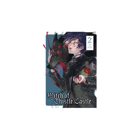 WITCH OF THISTLE CASTLE GN VOL 2