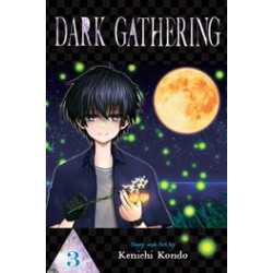 DARK GATHERING GN VOL 3