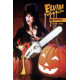 ELVIRA IN MONSTERLAND 5 CVR D PHOTO