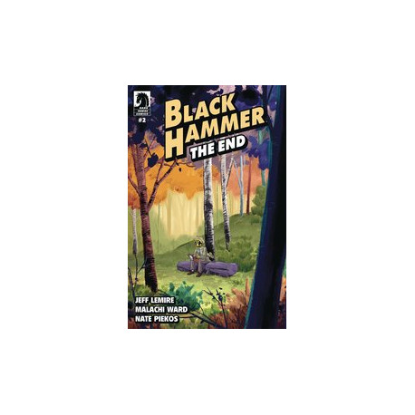 BLACK HAMMER END 2 CVR A WARD