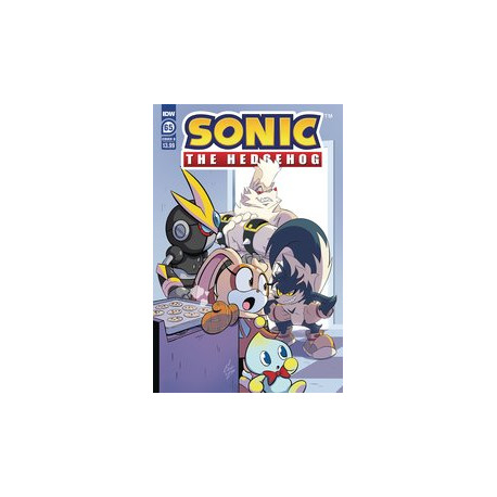 SONIC THE HEDGEHOG 65 CVR B LIDE