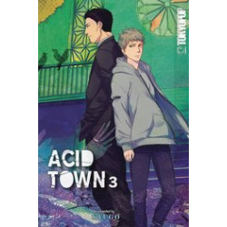 ACID TOWN GN VOL 3