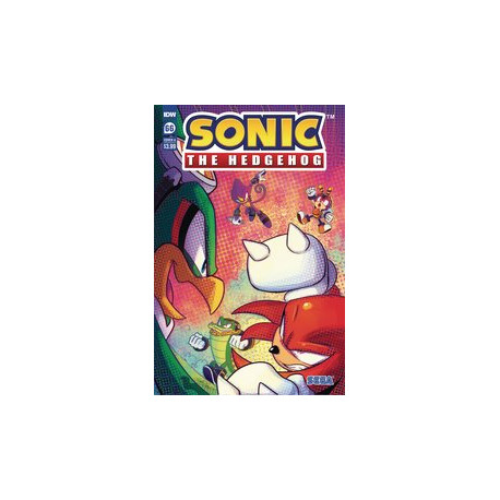 SONIC THE HEDGEHOG 66 CVR A DUTREIX