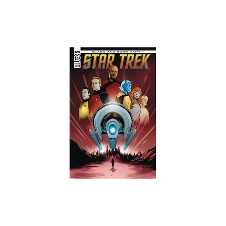 STAR TREK 13 CVR A TO