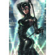 BATMAN CATWOMAN THE GOTHAM WAR SCORCHED EARTH 1 ONE SHOT CVR C KENDRICK KUNKKA LIM CARD STOCK VAR