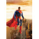 BATMAN SUPERMAN WORLDS FINEST 21 CVR D HUSH SUPERMAN MCFARLANE TOYS ACTION FIGURE CARD STOCK VAR