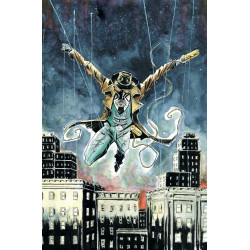 WESLEY DODDS THE SANDMAN 3 OF 6 CVR B JEFF LEMIRE CARD STOCK VAR