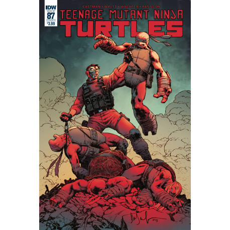 TMNT ONGOING 87 CVR A WACHTER