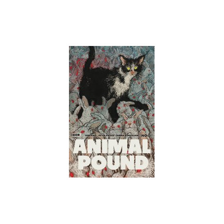 ANIMAL POUND CVR B SHIMIZU