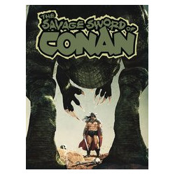 SAVAGE SWORD OF CONAN 1 CVR C VON FAFNER