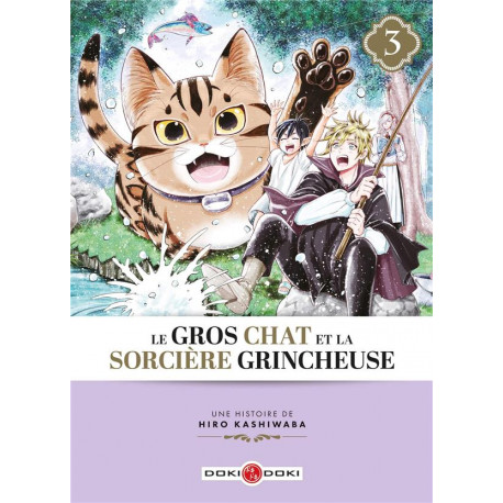 GROS CHAT ET LA SORCIERE GRINCHEUSE (LE) - T03 - LE GROS CHAT ET LA SORCIERE GRINCHEUSE - VOL. 03