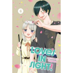 LOVES IN SIGHT GN VOL 6