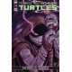 TMNT ONGOING 149 CVR A FEDERICI