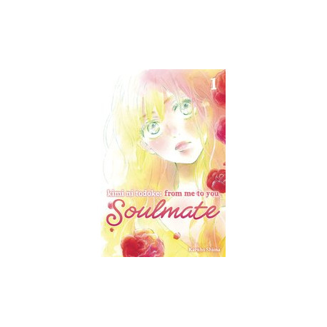 KIMI NI TODOKE FROM ME TO SOULMATE GN VOL 1