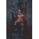 VAMPIRELLA 668 CVR E PARRILLO LTD VIRGIN