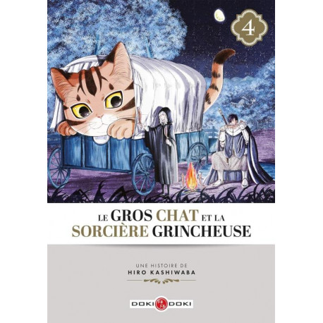 LE GROS CHAT ET LA SORCIERE GRINCHEUSE T 04