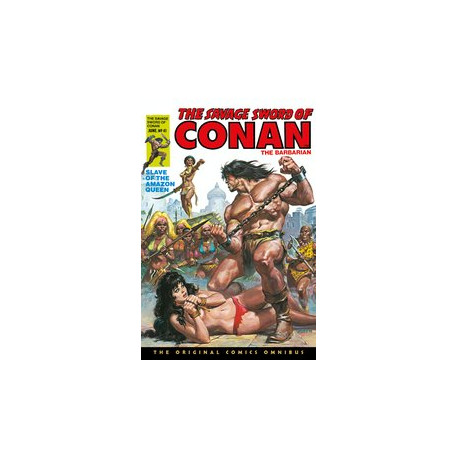 SAVAGE SWORD CONAN ORIG OMNIBUS DIRECT MKT GN VOL 3