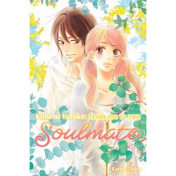 KIMI NI TODOKE FROM ME TO SOULMATE GN VOL 2