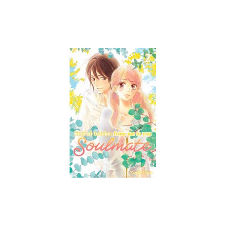 KIMI NI TODOKE FROM ME TO SOULMATE GN VOL 2