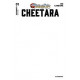 THUNDERCATS CHEETARA 1 CVR I BLANK AUTHENTIX