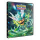 POKEMON EV06 CAHIER RANGE-CARTES POKEMON 252C