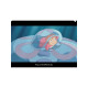 PONYO SUR LA MEDUSE CHEMISE A4 PONYO SUR LA FALAISE