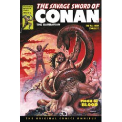 SAVAGE SWORD OF CONAN ORIG OMNIBUS REG GN VOL 4