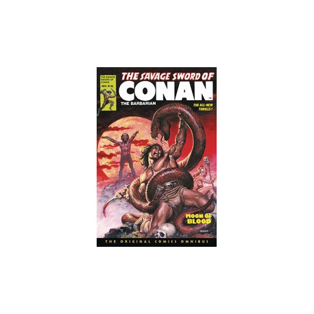 SAVAGE SWORD OF CONAN ORIG OMNIBUS REG GN VOL 4