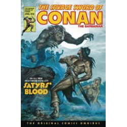 SAVAGE SWORD OF CONAN ORIG OMNIBUS DIRECT MKT GN VOL 4