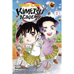 DEMON SLAYER KIMETSU ACADEMY GN VOL 3