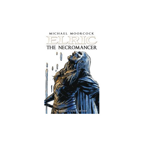 ELRIC THE NECROMANCER 2 CVR C SECHER