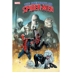 THE SPECTACULAR SPIDER-MEN 6