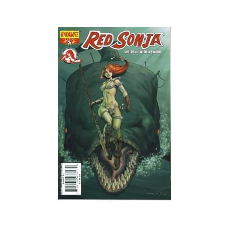 RED SONJA 24 COVER C HOMS