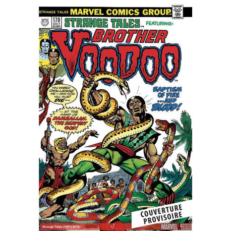 BROTHER VOODOO : L'INTEGRALE 1973-1990 (T01)