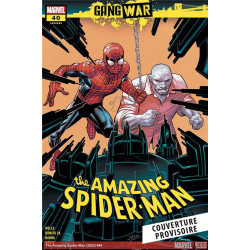 SPIDER-MAN : GANG WAR N 02