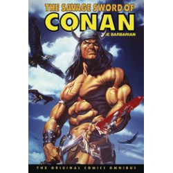 SAVAGE SWORD CONAN ORIGINAL OMNI REG ED HC VOL 10