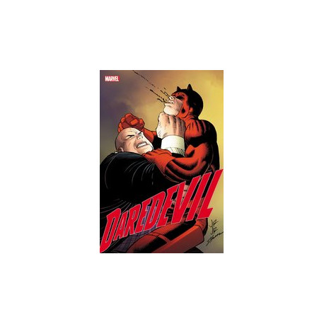 DAREDEVIL 13