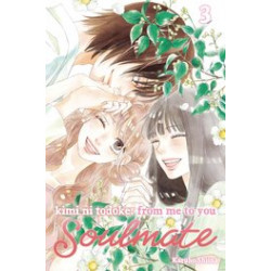 KIMI NI TODOKE FROM ME TO SOULMATE GN VOL 3