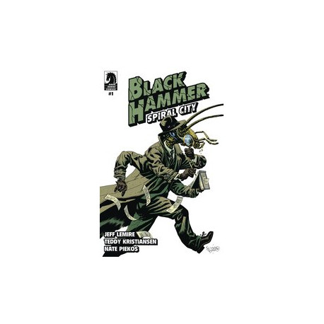 BLACK HAMMER SPIRAL CITY 1 CVR D FEGREDO