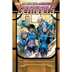 SENTINELS 1 CHRIS CAMPANA WINDOWSHADES VAR