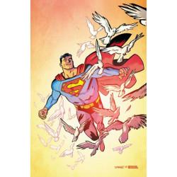 SUPERMAN 19 CVR D CHRIS SAMNEE CARD STOCK VAR